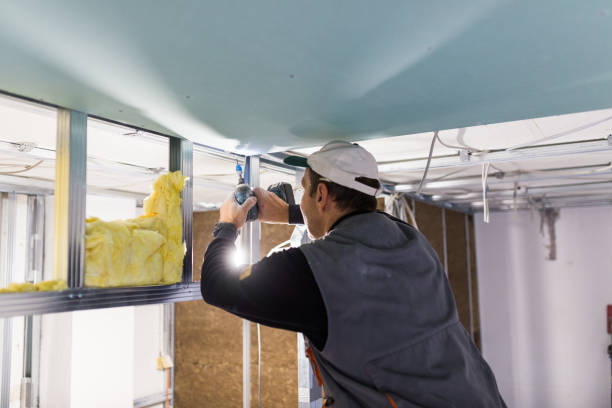 Best Insulation Inspection Services  in Palacios, TX
