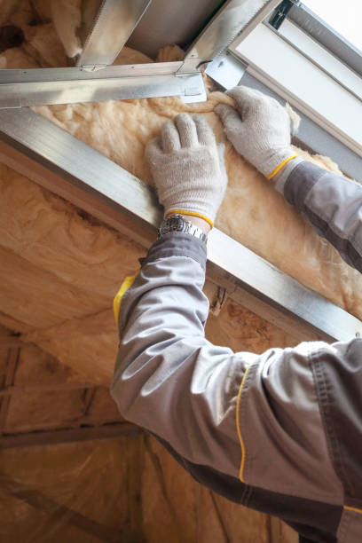 Best Garage Insulation Installation  in Palacios, TX