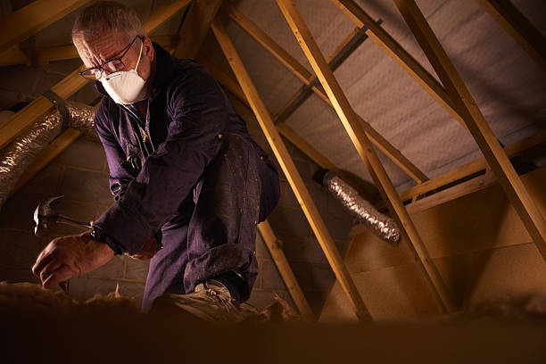 Best Professional Insulation Contractor  in Palacios, TX