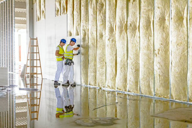 Best Blown-in Insulation  in Palacios, TX